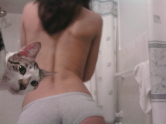 bombing cat and ass