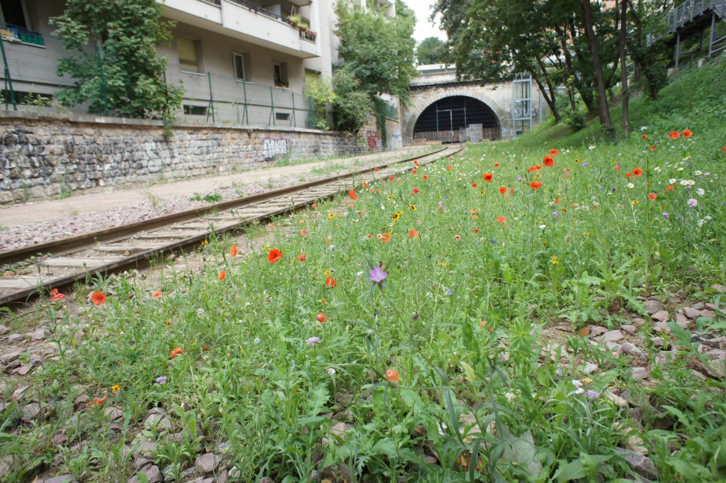 Découvrez la nouvelle balade parisienne sur la petite ceinture