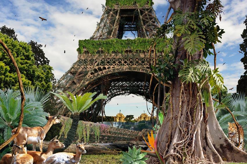 Paris Tour Eiffel version jungle