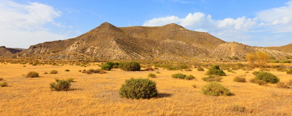 desert almeria