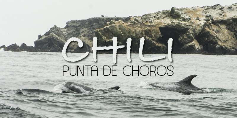 punta de choros chile