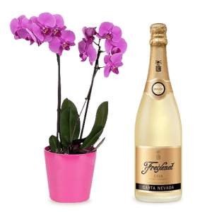 orchidée et champagne