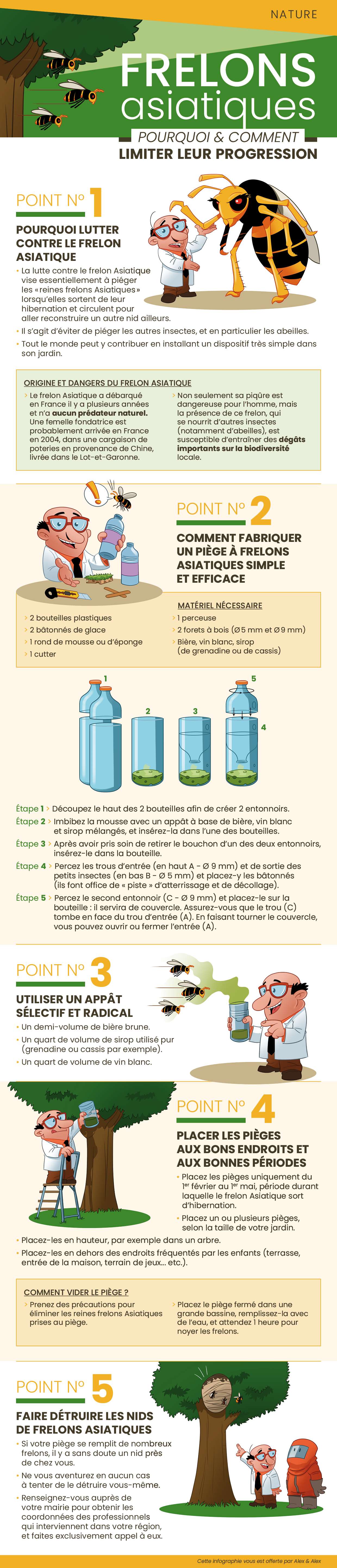 Comment empêcher la prolifération des frelons asiatiques ? 