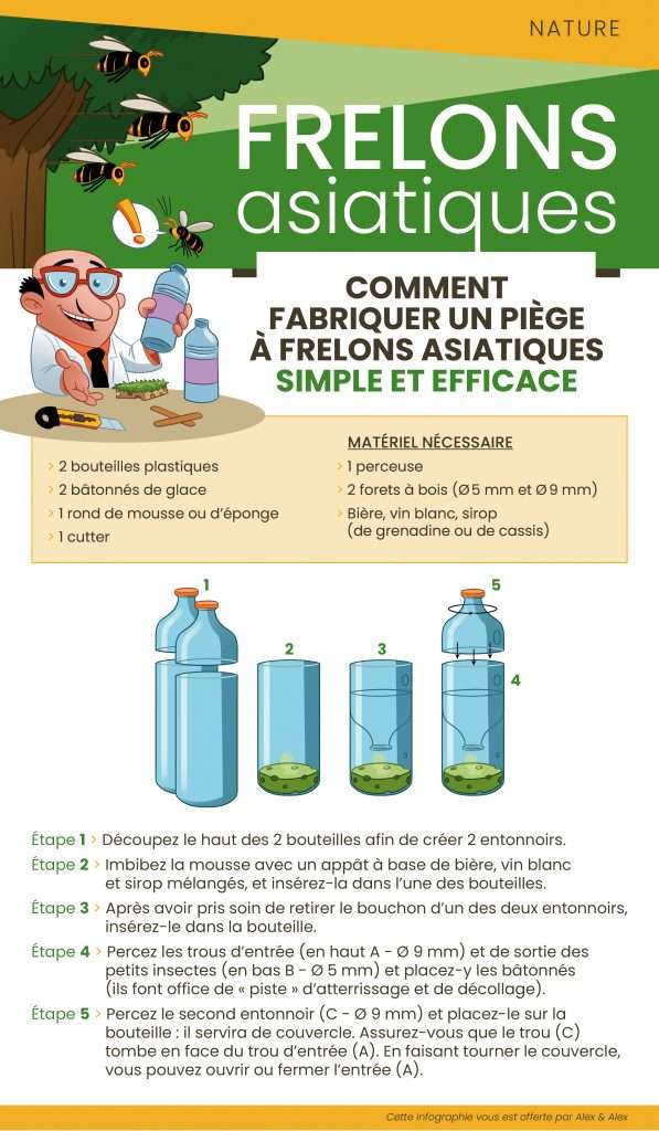 comment faire un piège à frelon